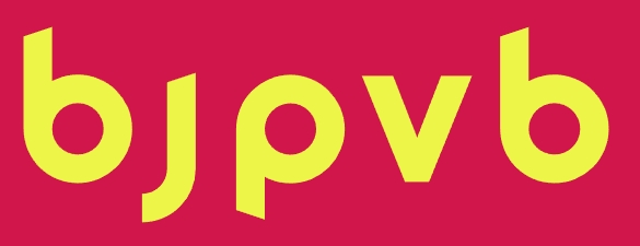 bjpvb.top